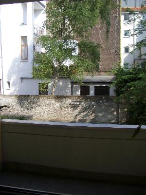 my balcony and the houses across the backyard