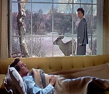 last scene from all that heaven allows